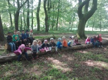 Andervenner Kindergartenkinder wurden zu Waldkindern