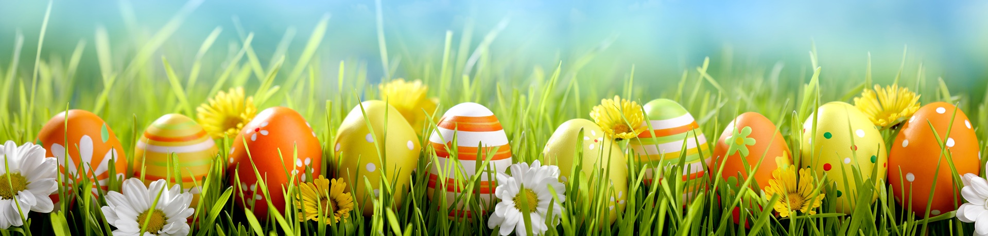 Samtgemeinde Freren - Aktuell