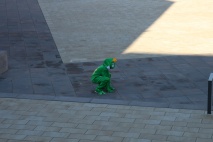 Frosch in Freren gesichtet!