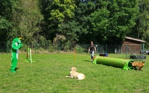 Freddy on Tour - Teil 4