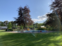 Maximale Besucherzahl im Waldfreibad auf 350 Personen erhöht
