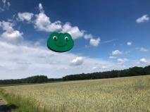 Eine Mailadresse für einen Frosch...