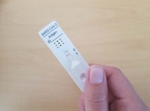 COVID-Schnelltests in der Samtgemeinde Freren
