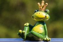 Freddys Märchentour 