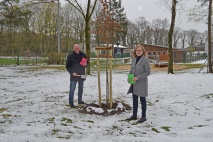 Klimabäume für die Samtgemeinde