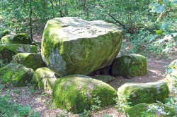 Die Samtgemeinde
